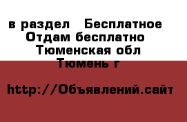  в раздел : Бесплатное » Отдам бесплатно . Тюменская обл.,Тюмень г.